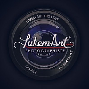 Expertise avis de Lukem Art